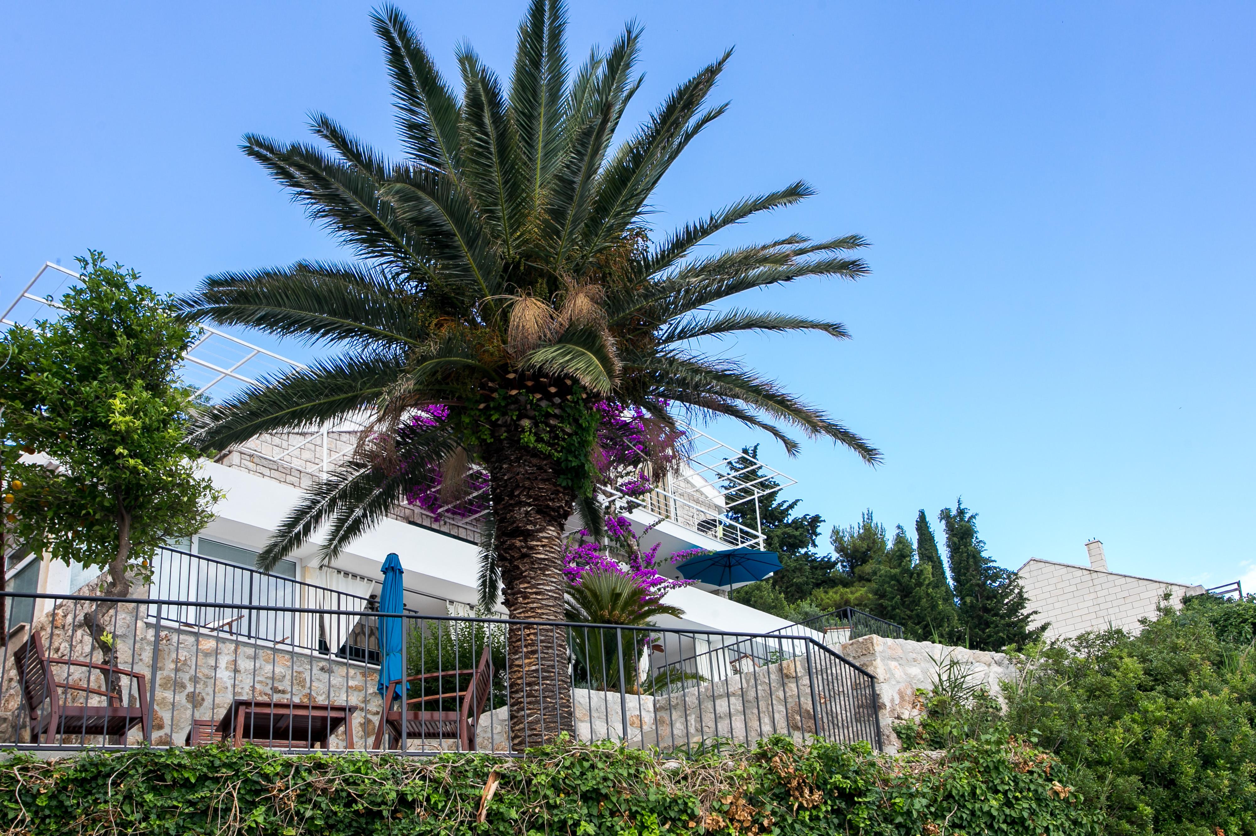 Apartments Villa Mirjana มลินี ภายนอก รูปภาพ